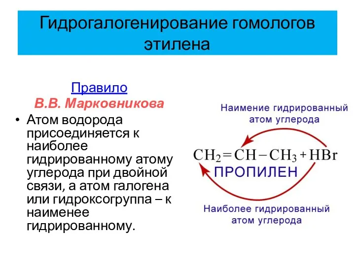 Гидрогалогенирование гомологов этилена Правило В.В. Марковникова Атом водорода присоединяется к