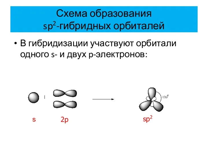 Схема образования sp2-гибридных орбиталей В гибридизации участвуют орбитали одного s- и двух p-электронов: s 2p sp2