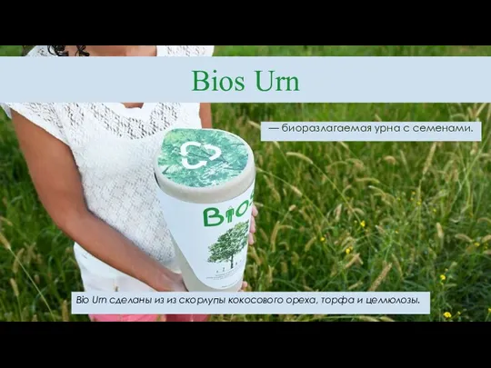 Bios Urn — биоразлагаемая урна с семенами. Bio Urn сделаны