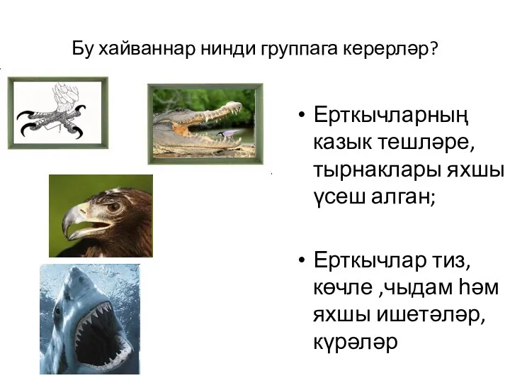 Бу хайваннар нинди группага керерләр? Ерткычларның казык тешләре, тырнаклары яхшы