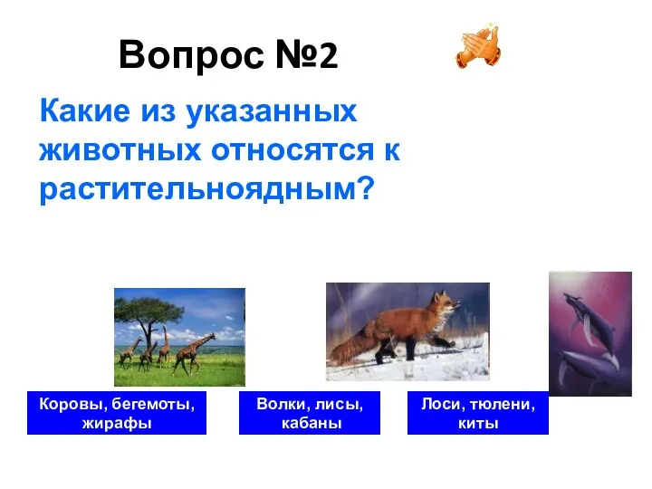 Вопрос №2 Коровы, бегемоты, жирафы Волки, лисы, кабаны Лоси, тюлени,