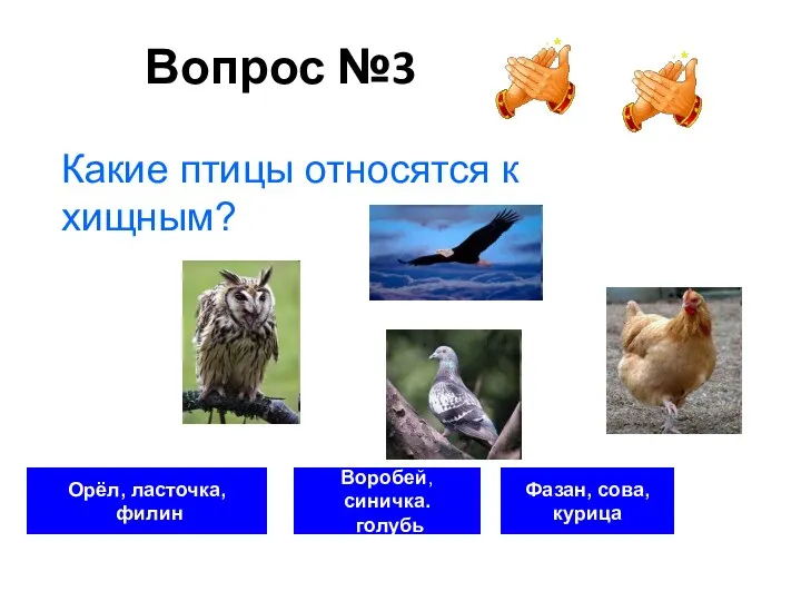 Вопрос №3 Орёл, ласточка, филин Воробей, синичка. голубь Фазан, сова, курица Какие птицы относятся к хищным?