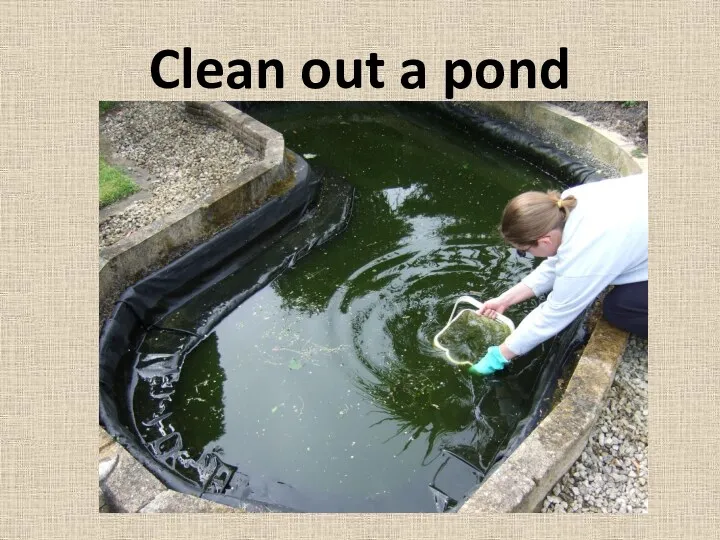 Clean out a pond