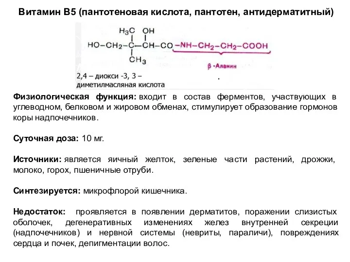 Витамин В5 (пантотеновая кислота, пантотен, антидерматитный) Физиологическая функция: входит в