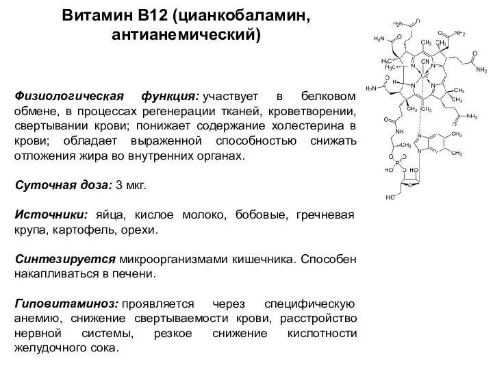 Витамин В12 (цианкобаламин, антианемический) Физиологическая функция: участвует в белковом обмене,