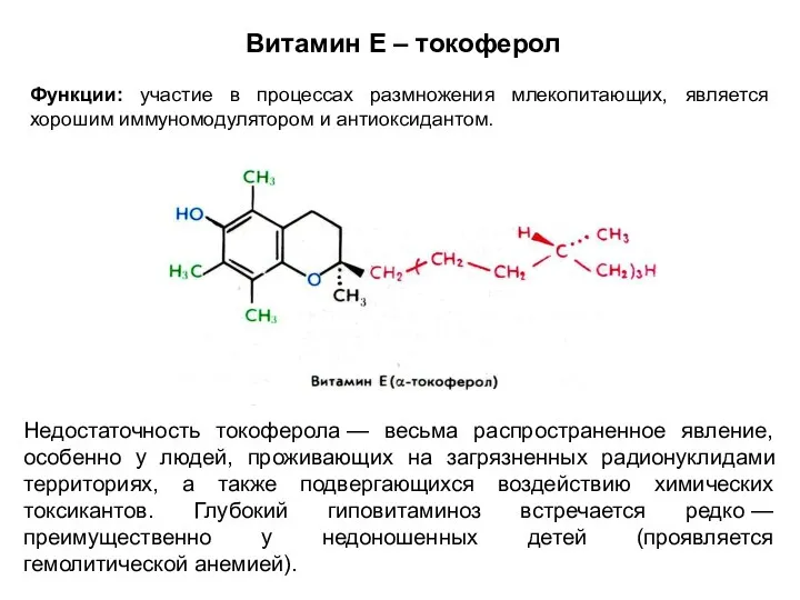 Недостаточность токоферола — весьма распространенное явление, особенно у людей, проживающих