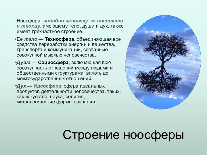 Строение ноосферы Ноосфера, подобно человеку, её носителю и творцу, имеющему