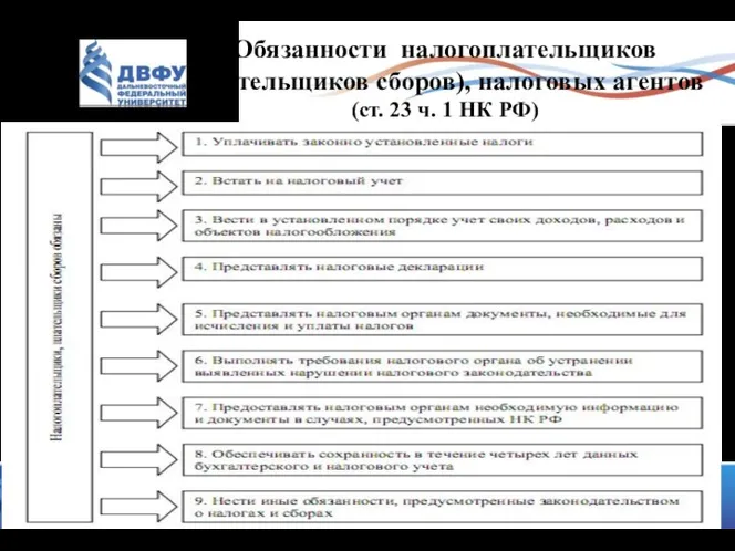 Обязанности налогоплательщиков (плательщиков сборов), налоговых агентов (ст. 23 ч. 1 НК РФ)