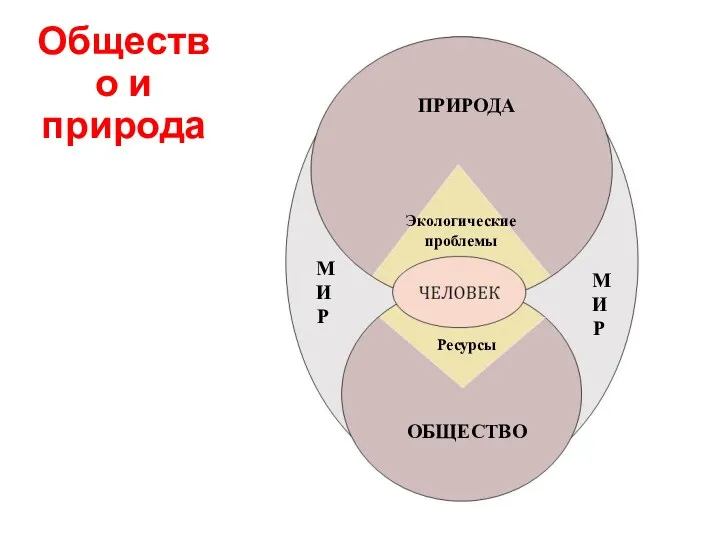 Общество и природа