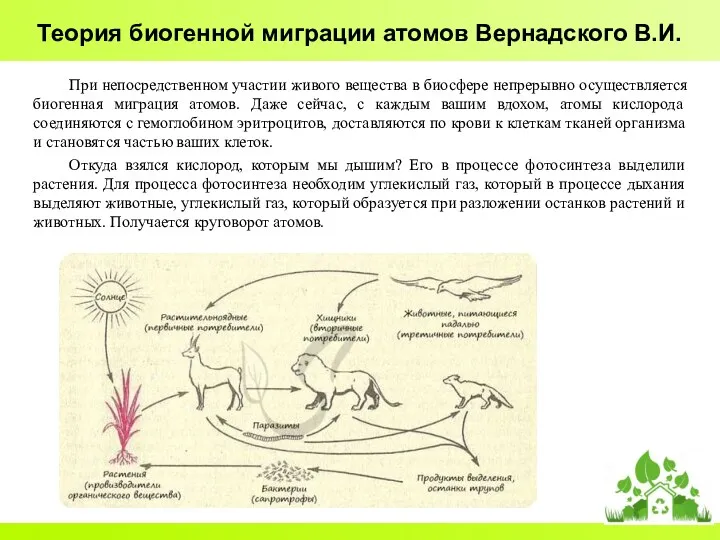 Теория биогенной миграции атомов Вернадского В.И. При непосредственном участии живого