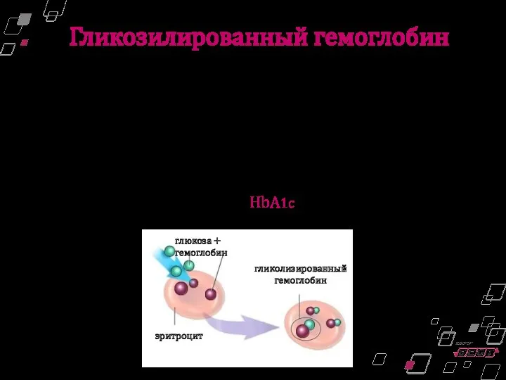 Гликозилированный гемоглобин Гликозилированный гемоглобин – это соединение гемоглобина с глюкозой,