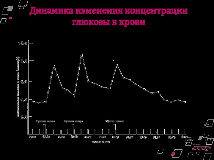 Динамика изменения концентрации глюкозы в крови