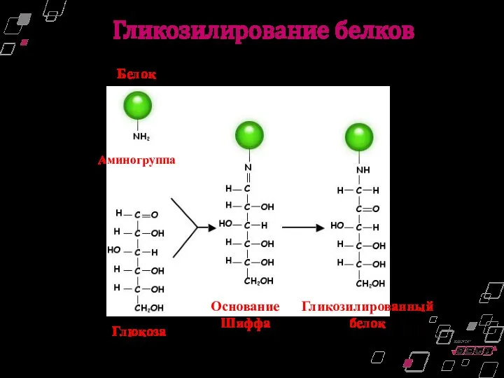 Белок Аминогруппа Глюкоза Основание Шиффа Гликозилированный белок Гликозилирование белков