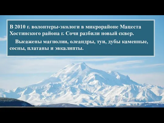 В 2010 г. волонтеры-экологи в микрорайоне Мацеста Хостинского района г.