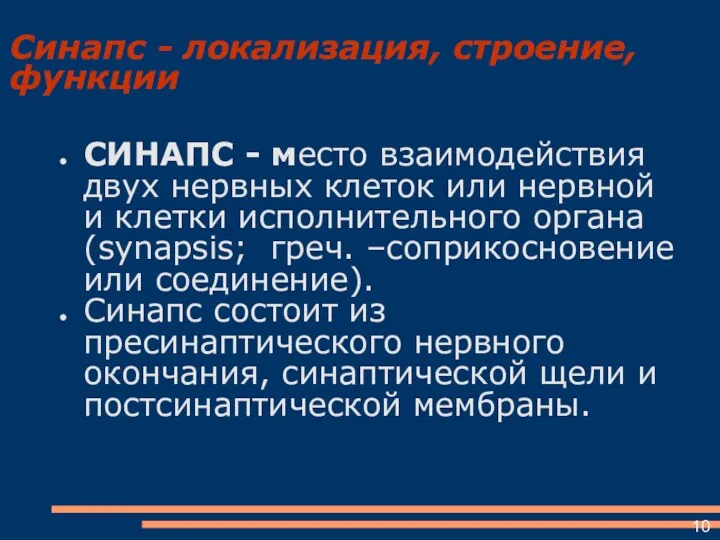 Синапс - локализация, строение, функции СИНАПС - место взаимодействия двух