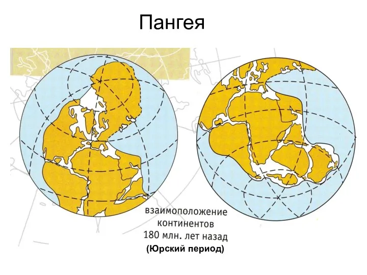 Пангея (Юрский период)