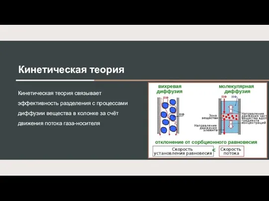 Кинетическая теория Кинетическая теория связывает эффективность разделения с процессами диффузии