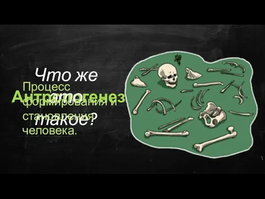 Антропогенез - Что же это такое? Процесс формирования и становления человека.