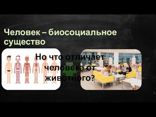 Человек – биосоциальное существо Но что отличает человека от животного?