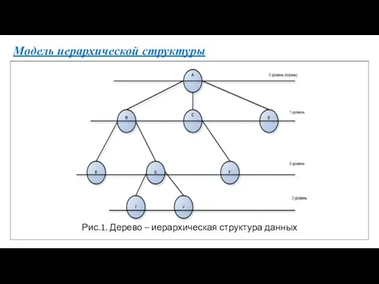 Модель иерархической структуры Рис.1. Дерево – иерархическая структура данных