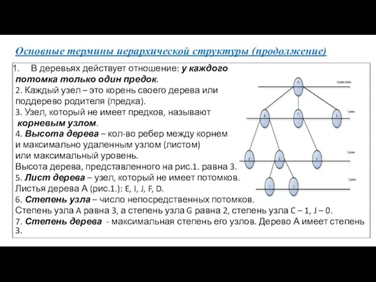 Основные термины иерархической структуры (продолжение) В деревьях действует отношение: у каждого потомка только