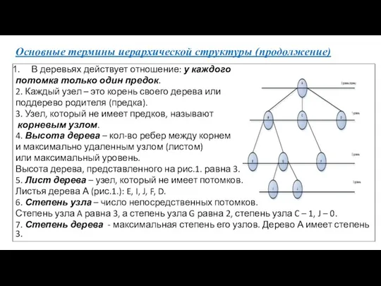 Основные термины иерархической структуры (продолжение) В деревьях действует отношение: у