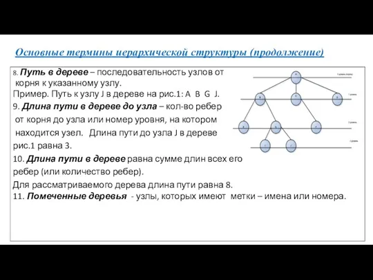 Основные термины иерархической структуры (продолжение) 8. Путь в дереве – последовательность узлов от