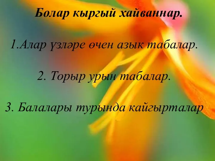 Болар кыргый хайваннар. Алар үзләре өчен азык табалар. Торыр урын табалар. Балалары турында кайгырталар