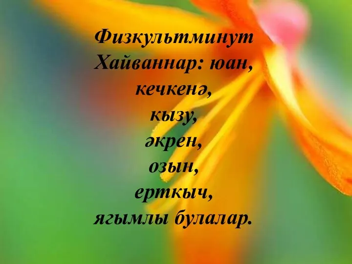 Физкультминут Хайваннар: юан, кечкенә, кызу, әкрен, озын, ерткыч, ягымлы булалар.