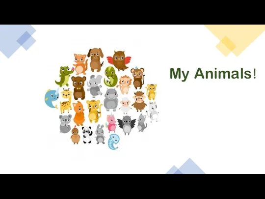 My Animals!