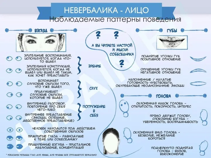 Наблюдаемые паттерны поведения