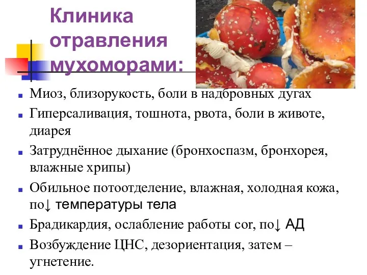 Клиника отравления мухоморами: Миоз, близорукость, боли в надбровных дугах Гиперсаливация, тошнота, рвота, боли