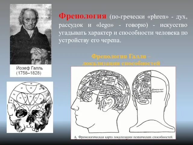 Френология Галля – локализация способностей Френология (по-гречески «phren» - дух,