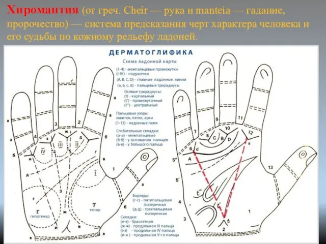 Хиромантия (от греч. Cheir — рука и manteia — гадание,