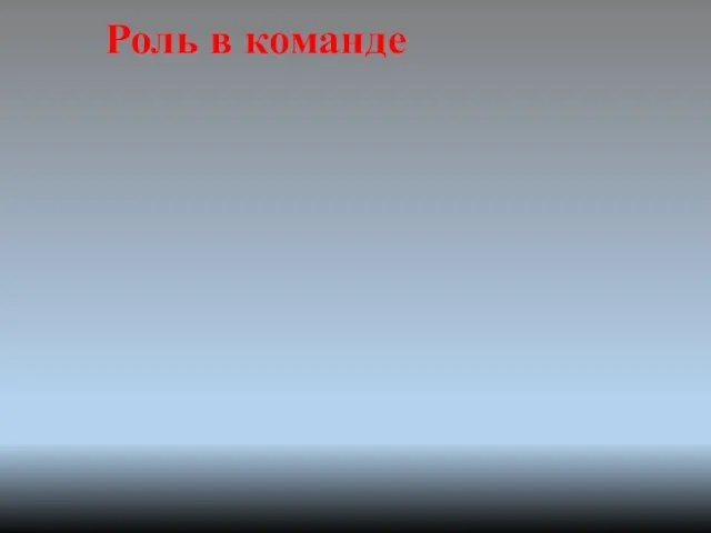 Роль в команде Идея Реализация Порядок Поддержка, гармонизация Проверка Оптимизм,