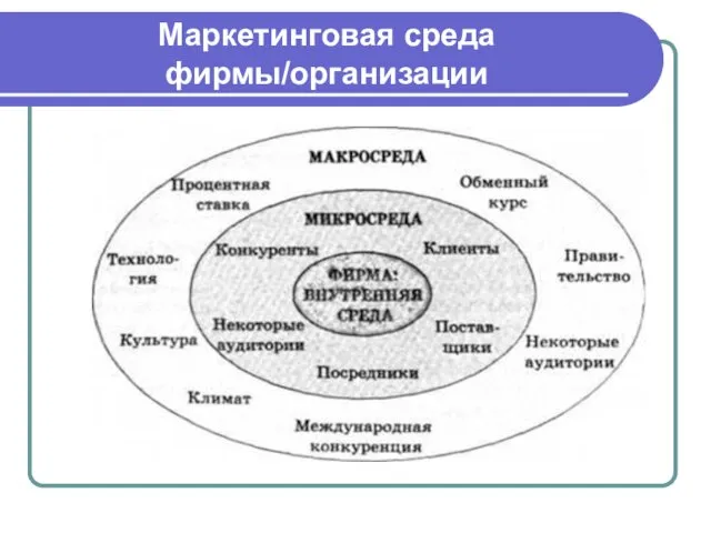 Маркетинговая среда фирмы/организации