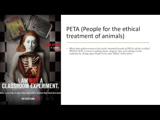 PETA (People for the ethical treatment of animals) What does