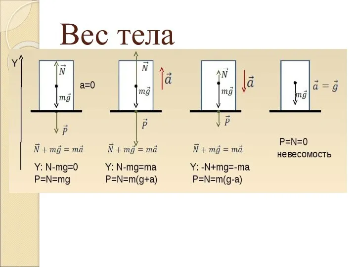 Вес тела