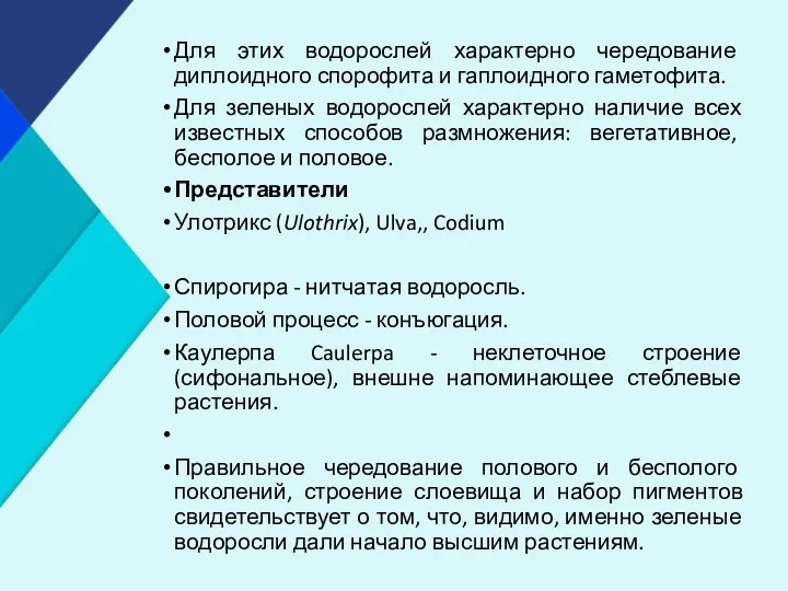 Для этих водорослей характерно чередование диплоидного спорофита и гаплоидного гаметофита.