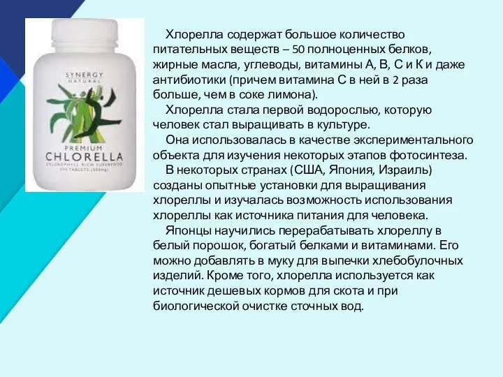 Хлорелла содержат большое количество питательных веществ – 50 полноценных белков,