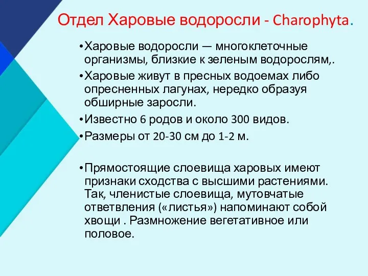 Отдел Харовые водоросли - Charophyta. Харовые водоросли — многоклеточные организмы,