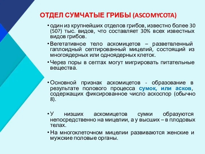 ОТДЕЛ СУМЧАТЫЕ ГРИБЫ (ASCOMYCOTA) один из крупнейших отделов грибов, известно