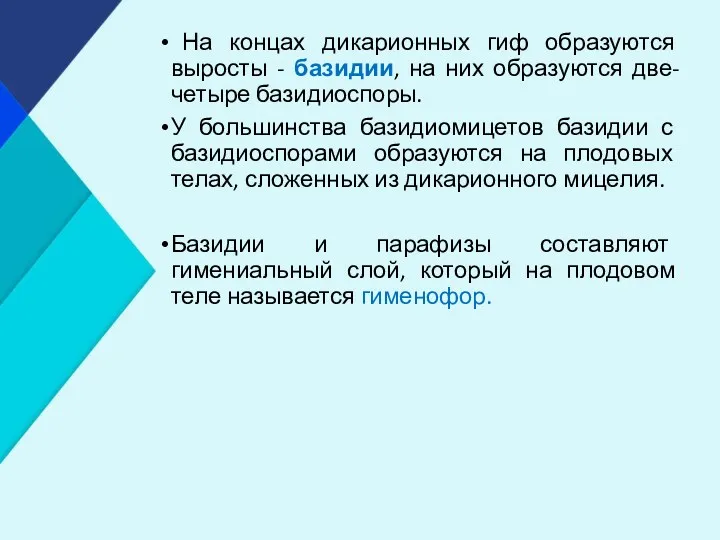 На концах дикарионных гиф образуются выросты - базидии, на них