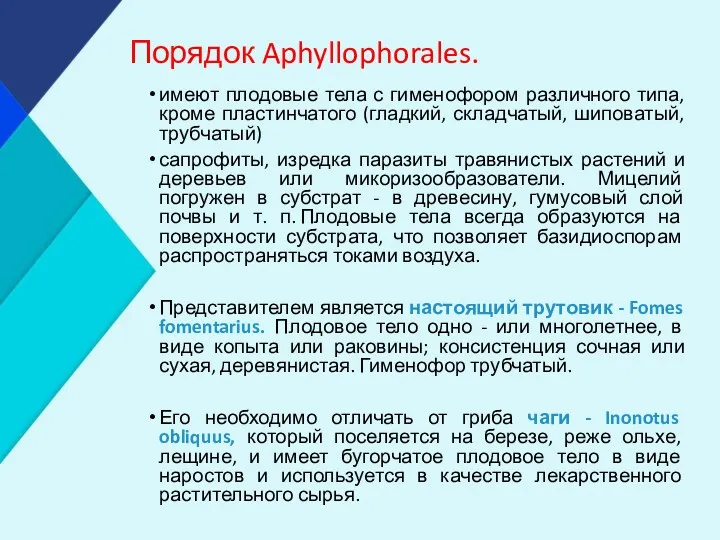 Порядок Aphyllophorales. имеют плодовые тела с гименофором различного типа, кроме