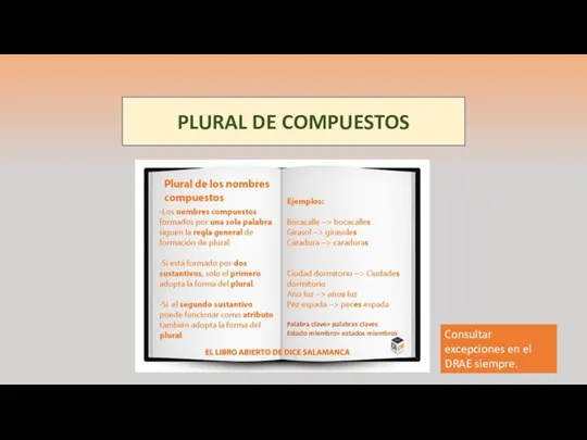 PLURAL DE COMPUESTOS Consultar excepciones en el DRAE siempre. Palabra