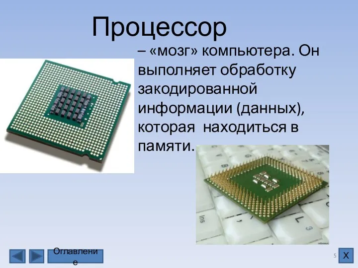 – «мозг» компьютера. Он выполняет обработку закодированной информации (данных), которая находиться в памяти. Процессор Оглавление Х