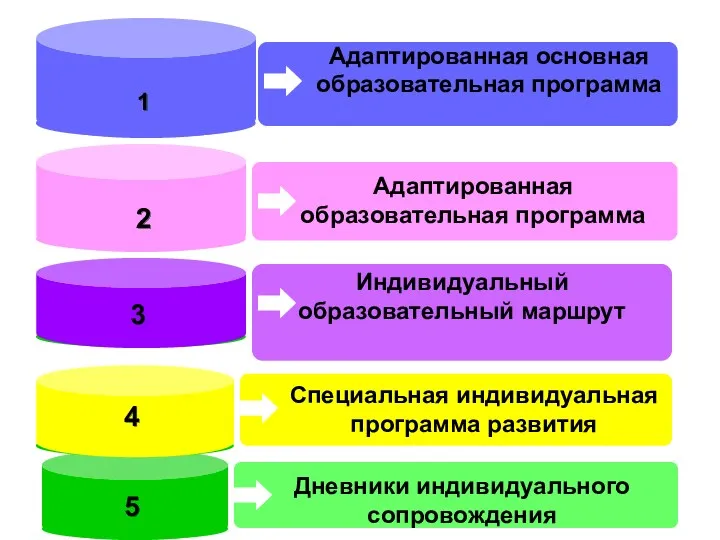 Адаптированная основная образовательная программа Специальная индивидуальная программа развития 1 2