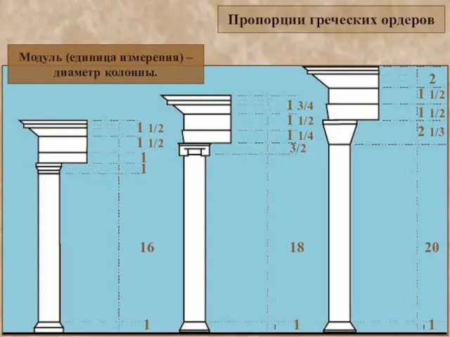 Пропорции греческих ордеров Модуль (единица измерения) – диаметр колонны.