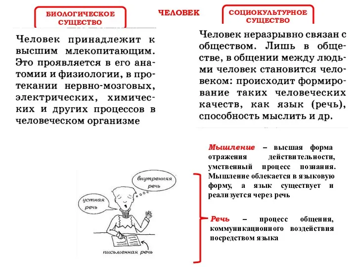 ЧЕЛОВЕК БИОЛОГИЧЕСКОЕ СУЩЕСТВО СОЦИОКУЛЬТУРНОЕ СУЩЕСТВО ЧЕЛОВЕК ЧАСТЬ ЖИВОЙ ПРИРОДЫ, ОБЛАДАЕТ