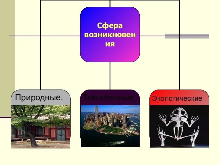 Природные. Техногенные. Экологические